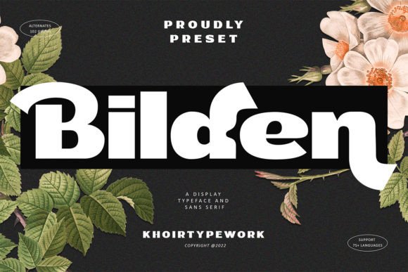 Bilden: A Display Font That Earns Its Space